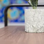 City Apartment Top Location, Quiet And Cozy Ideal To Relax Or Work