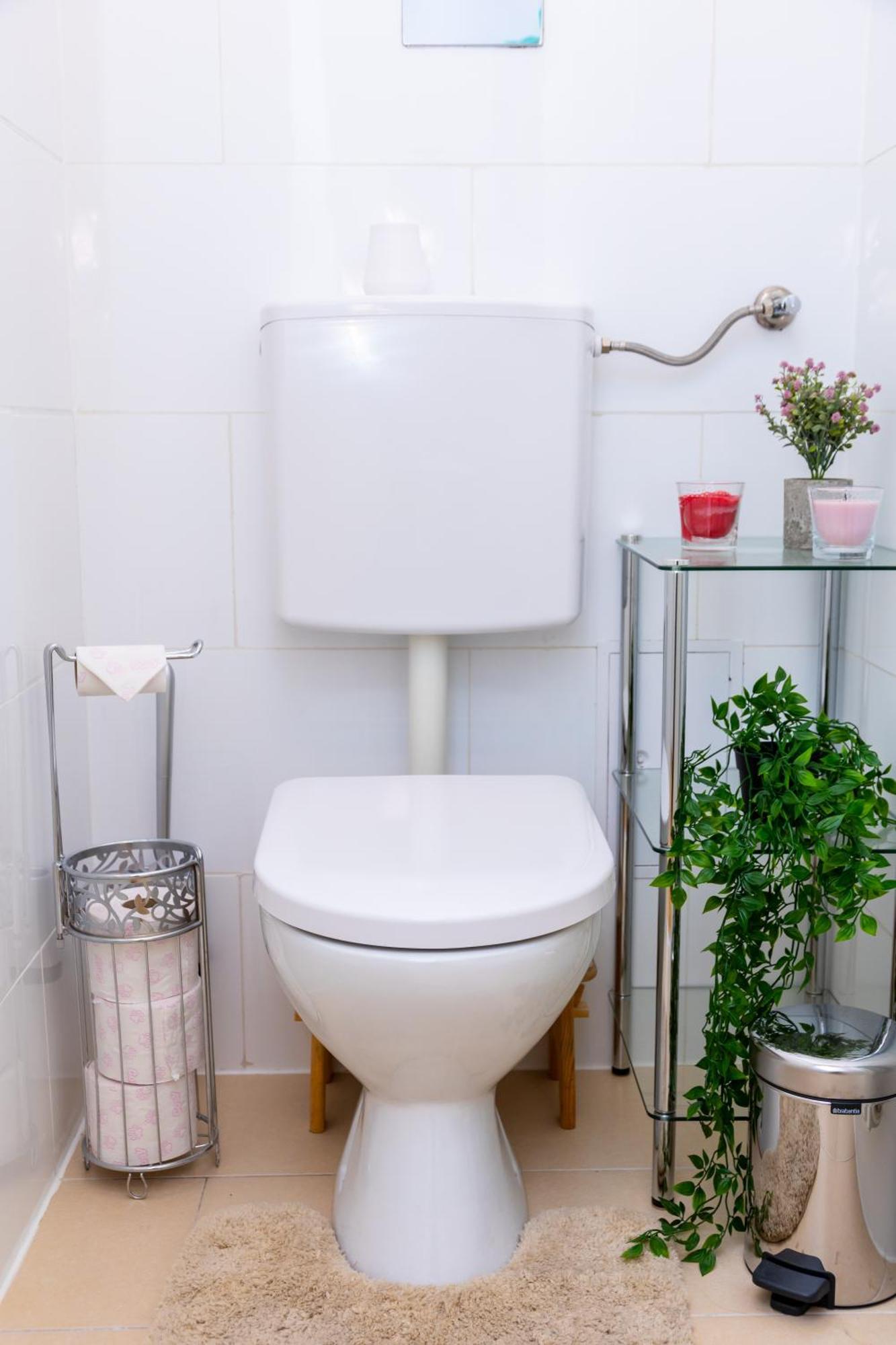 City Top Location, Quiet And Cozy Ideal To Relax Or Work Apartment Vienna