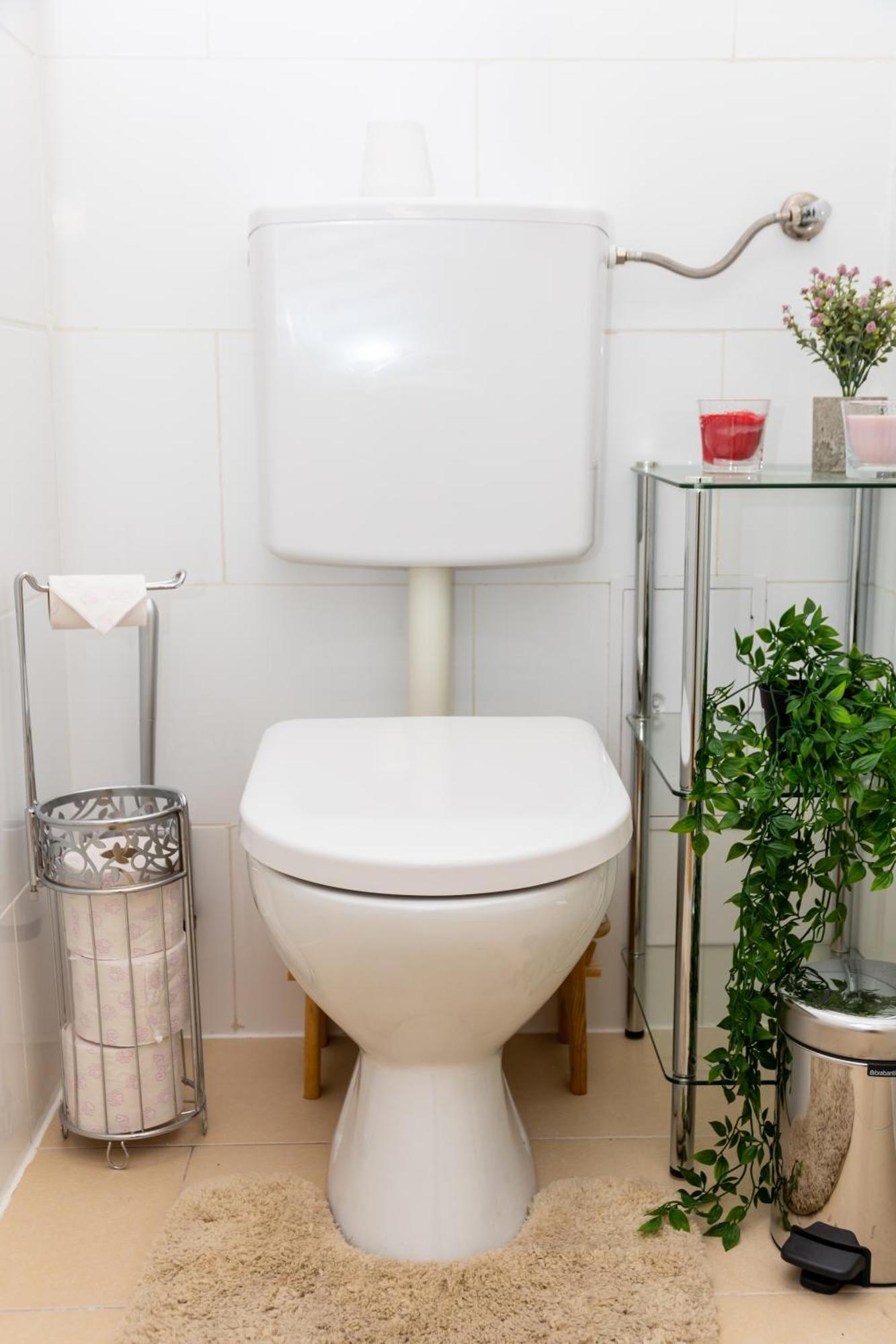 Apartment City Top Location, Quiet And Cozy Ideal To Relax Or Work Vienna
